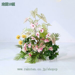 2000~OFFN[|  lHϗtA tFCNO[ { CeA  N₩ ׍HJ i`Abv ɒuA 邭u₩ {͕킵Ă ~͐A