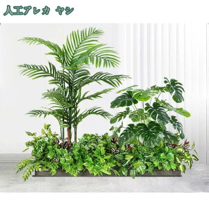 2000~OFFN[|  tFCNO[ ^ lHϗtA  rO ie l AJV Xe Ɋy hZi z[fR[V ItBXΉ  X i