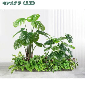 2000~OFFN[|  tFCNO[ ^ lHϗtA  rO ie l AJV Xe Ɋy hZi z[fR[V ItBXΉ  X i