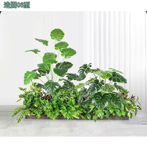 2000~OFFN[| ^ tFCNO[ { iϑ p[eBV ̑gݍ킹 I[ig  AEghA ItBX  z[fR[V tFCNt[ f