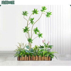 2000~OFFN[| lHϗtA  ^ tFCNO[ { oCIjbN ChA I[ig ~ V~[VA   ItBX gݍ킹 {͕킵