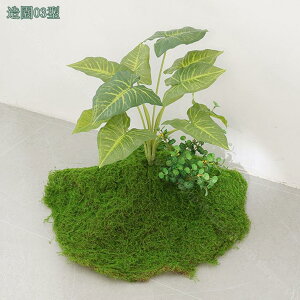 2000~OFFN[|  tFCNO[ ^ lHϗtA  rO ie l AJV Xe Ɋy hZi ItBXΉ  X i`͋C ډB 