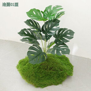 lHϗtA ^ { tFCNO[ iω|  K[fjO | i| lHϗtA  tFCNc[ {͕킵ĂfUC gsJA l I