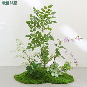 2000~OFFN[|  tFCNO[ ^ lHϗtA  rO ie l AJV Xe Ɋy hZi ItBXΉ  X i`͋C ډB 