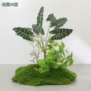 1000~OFFN[|  tFCNO[ ^ lHϗtA  rO ie l AJV Xe Ɋy hZi ItBXΉ  X i`͋C ډB 