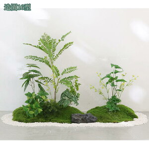 2000~OFFN[|  tFCNO[ ^ lHϗtA A i` ItBX rO X  CeA 傫  킢 {͕킵ĂfUC Mъϗt 