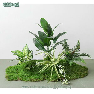 2000~OFFN[| lHϗtA  tFCNO[ ^ CeA A ϗtA Vv   Ki oRj[ z[fR[V ItBXΉ X hZi 