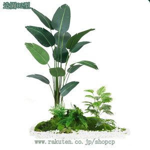  lHϗtA tFCNO[ IV i` ^MѐA CeA rO  O z[ x_ l AJV Xe Ɋy hZi Iȑ 