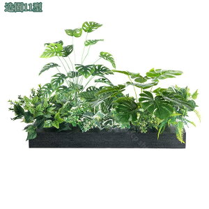 2000~OFFN[|  lHϗtA tFCNO[ { CeA  N₩ ׍HJ i`Abv ɒuA 邭u₩ {͕킵Ă ~͐A