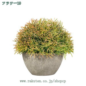 lHϗtA tFCNO[ CeA  ͂Ȃ EFfBO v[g Mtg lHA p z[ 뉀 Lb` ItBX iX 킢 ̓ v[g 