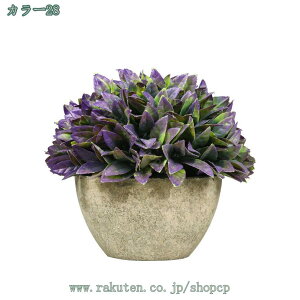 tFCNO[ ~j|bg O[ ϗtA lHϗtA tFCNO[ j X   u c CeA { 킢   rO I  