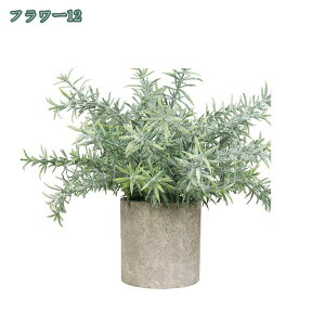 777~OFFN[| tFCNO[ ϗtA lHϗtA ԃCeA  CeA  ԕrt ͂Ȃ u c w  ̓Mtg ̓  蕨 ~j