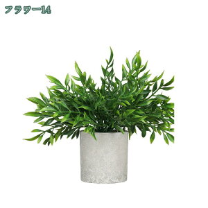 tFCNO[ ϗtA lHϗtA ԃCeA  CeA  ԕrt ͂Ȃ u c w  ̓Mtg ̓  蕨 ~j|bg tFCN