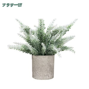 tFCNO[ ϗtA lHϗtA ԃCeA  CeA  ԕrt ͂Ȃ u c w  ̓Mtg ̓  蕨 ~j|bg tFCN