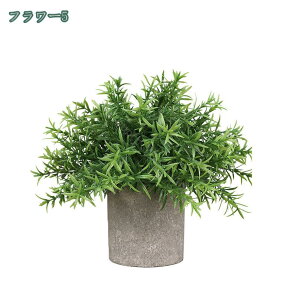 tFCNO[ ϗtA lHϗtA ԃCeA  CeA  ԕrt ͂Ȃ u c w  ̓Mtg ̓  蕨 ~j|bg tFCN