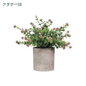 777~OFFN[|  CeA tFCNO[ ~j|bg O[ ϗtA lHϗtA tFCNO[ j X   u c CeA { 