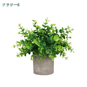 777~OFFN[|  CeA tFCNO[ ~j|bg O[ ϗtA lHϗtA tFCNO[ j X   u c CeA { 