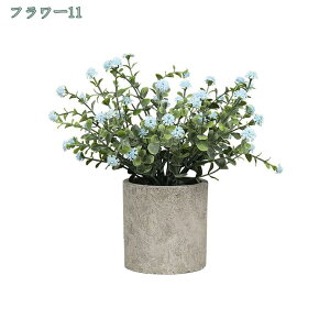  CeA tFCNO[ ~j|bg O[ ϗtA lHϗtA tFCNO[ j X   u c CeA { 킢   