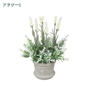 777~OFFN[|  CeA tFCNO[ ~j|bg O[ ϗtA lHϗtA tFCNO[ j X   u c CeA { 