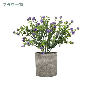 777~OFFN[|  CeA tFCNO[ ~j|bg O[ ϗtA lHϗtA tFCNO[ j X   u c CeA { 