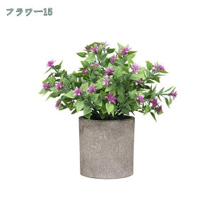 tFCNO[ ϗtA lHϗtA ԃCeA  CeA  ԕrt ͂Ȃ u c w  ̓Mtg ̓  蕨 ~j|bg tFCN