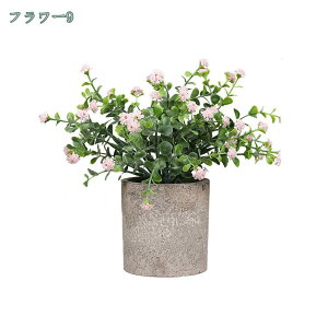 777~OFFN[|  CeA tFCNO[ ~j|bg O[ ϗtA lHϗtA tFCNO[ j X   u c CeA { 