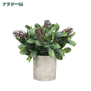 777~OFFN[| lHϗtA tFCNO[ ϗtA  A 픫t  ^ tFCN CeA  j ̓ CeA O[ ~j|bg O[ ϗtA