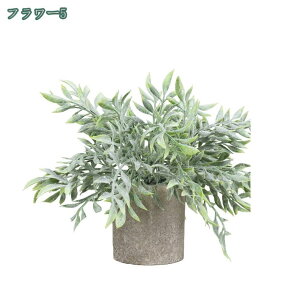 tFCNO[ ~j|bg O[ ϗtA lHϗtA tFCNO[ j X   u c CeA { 킢   rO I  