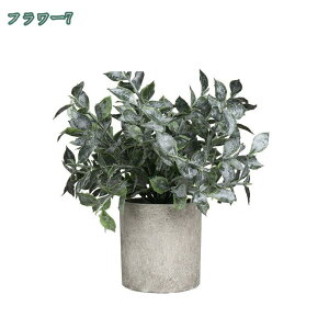 tFCNO[ ~j|bg O[ ϗtA lHϗtA tFCNO[ j X   u c CeA { 킢   rO I  