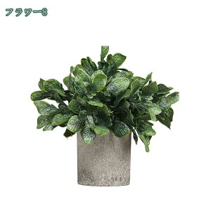 777~OFFN[| lHϗtA tFCNO[ ϗtA  A 픫t  ^ tFCN CeA  j ̓ CeA O[ ~j|bg O[ ϗtA