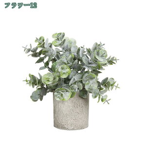 tFCNO[ ~j|bg O[ ϗtA lHϗtA tFCNO[ j X   u c CeA { 킢   rO I  