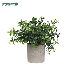 777~OFFN[| tFCNO[ lHϗtA tFCNA   2/4Zbg CeA v[g tFCNO[ ~j A  lHA CeA e[u  