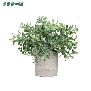  CeA tFCNO[ ~j|bg O[ ϗtA lHϗtA tFCNO[ j X   u c CeA { 킢   