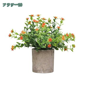 777~OFFN[| tFCNO[ lHϗtA tFCNA   2/4Zbg CeA v[g tFCNO[ ~j A  lHA CeA e[u  