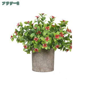 777~OFFN[| tFCNO[ lHϗtA tFCNA   2/4Zbg CeA v[g tFCNO[ ~j A  lHA CeA e[u  