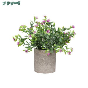 777~OFFN[| tFCNO[ lHϗtA tFCNA   2/4Zbg CeA v[g tFCNO[ ~j A  lHA CeA e[u  