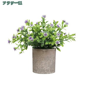 777~OFFN[| tFCNO[ lHϗtA tFCNA   2/4Zbg CeA v[g tFCNO[ ~j A  lHA CeA e[u  