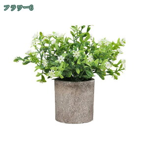 777~OFFN[| tFCNO[ lHϗtA tFCNA   2/4Zbg CeA v[g tFCNO[ ~j A  lHA CeA e[u  