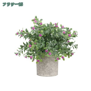 777~OFFN[| tFCNO[ lHϗtA tFCNA   2/4Zbg CeA v[g tFCNO[ ~j A  lHA CeA e[u  