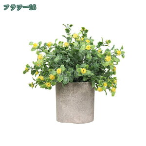  CeA tFCNO[ ~j|bg O[ ϗtA lHϗtA tFCNO[ j X   u c CeA { 킢   