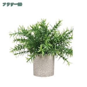 777~OFFN[| tFCNO[ lHϗtA tFCNA   2/4Zbg CeA v[g tFCNO[ ~j A  lHA CeA e[u  