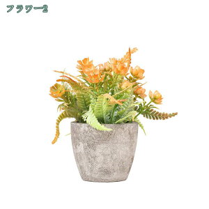 tFCNO[ lHϗtA tFCNA   2/4Zbg CeA v[g tFCNO[ ~j A  lHA CeA e[u   rO I I