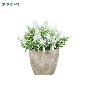 777~OFFN[| tFCNO[ lHϗtA x_[F u CeAO[ ~j|bg ϗtA lHA tFCNO[ gC  I  rO i H 䏊  