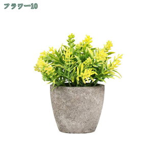 tFCNO[ lHϗtA tFCNA   2/4Zbg CeA v[g tFCNO[ ~j A  lHA CeA e[u   rO I I