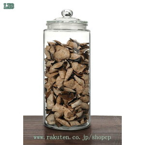 300~OFFN[| KXW[ ۑe LjX^[ KX AbgVTCg `ogD[ Lb`  Mtg v[g |bvRei  vX`bN r ۑR