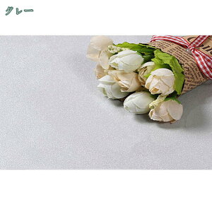 1000~OFFN[| CNV[g n  򊴂 ǎV[ CeAV[ 60cmx3m  ȒPȓ\t ͗lւ tH[V[g h ϔM h h hJr pr ƋCV[