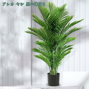 2000~OFFN[| tFCNO[ tFCNϗtA ^ A ϗt CeA lHϗtA  ze [ ډB  ItBX CeA sv bsv 