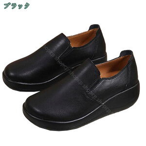 [t@[ fB[X TChSA  5cmq[ r  RtH[g 傫TCY Xb| EhgD K [Jbg  y Xj[J[ NbV JWA 