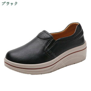 1000~OFFN[| JV V[Y fB[X RȂ C Xb|  pvX V[Y 5cm q[ ؂ 傫TCY t  H D^ ʋC RtH[g }} ꂳ [t@