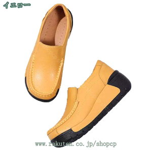 JV [t@[ fB[X 傫TCY ₷ Ȃ C EFbW\[ pvX RtH[g D^ }}V[Y ₷ L JWA fC[ Ōt 